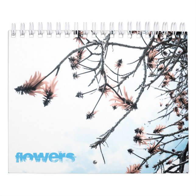 Calendário Flores mágicas (Capa)
