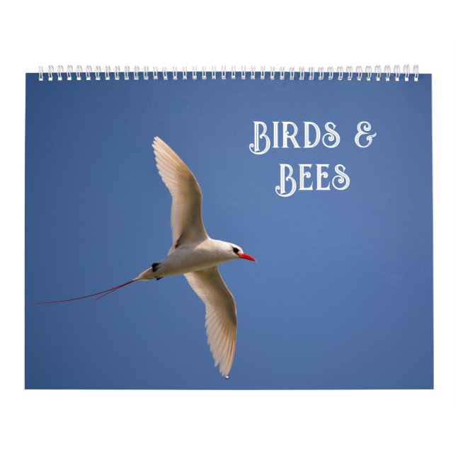 Calendário Flores na Natureza (Capa)