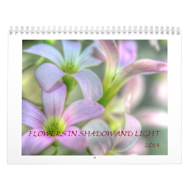 Calendário Flores nas sombras e na luz (Capa)