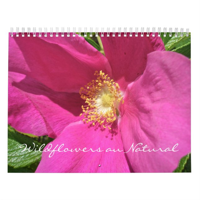 Calendário - Flores selvagens au Natural (Capa)