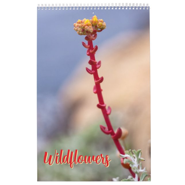 Calendário Flores silvestres (Capa)