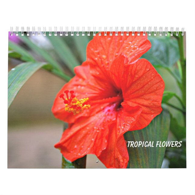 Calendário Flores Tropicais (Capa)