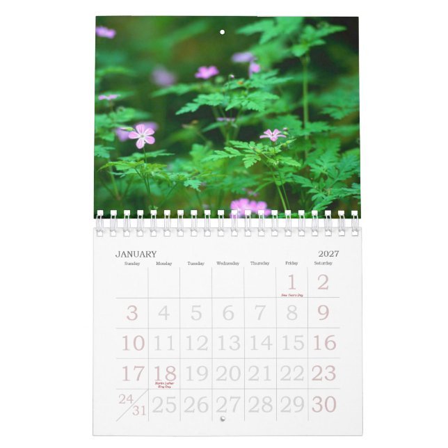 Calendário Floresta (Jan 2027)