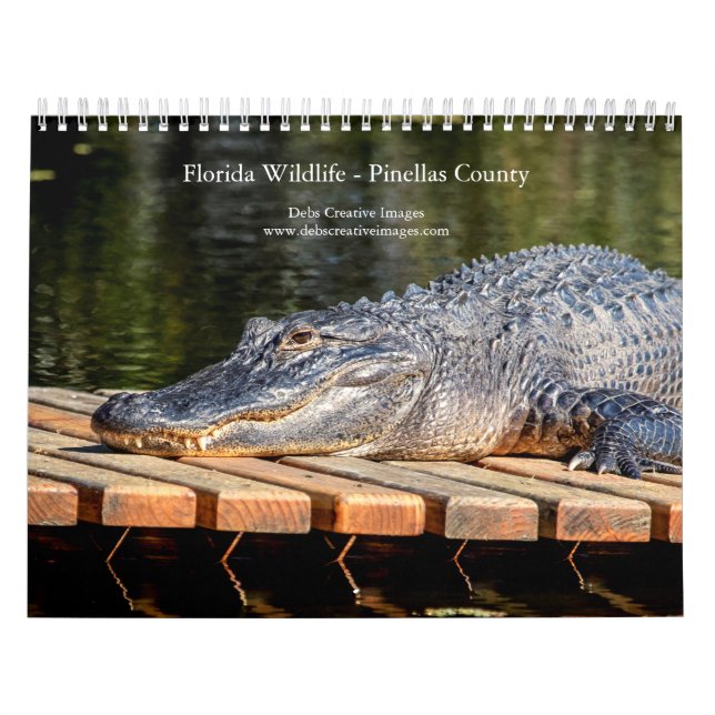 Calendário Flórida Wildlife no Condado de Pinellas 2026 (Capa)