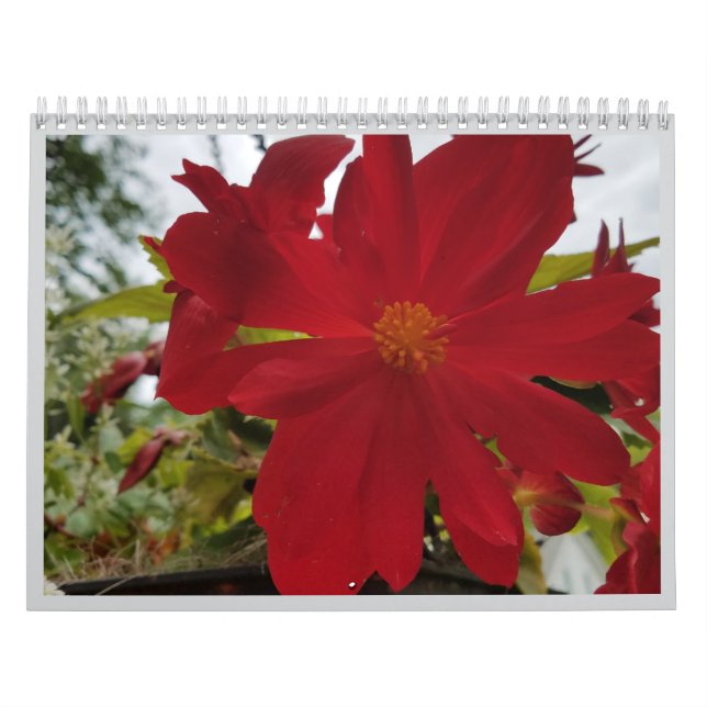 Calendário Flower Are It 2026 Calendar (Capa)