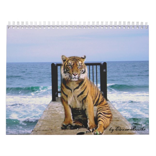 Calendário Foco & Força_2010 de Elenne Boothe (Capa)