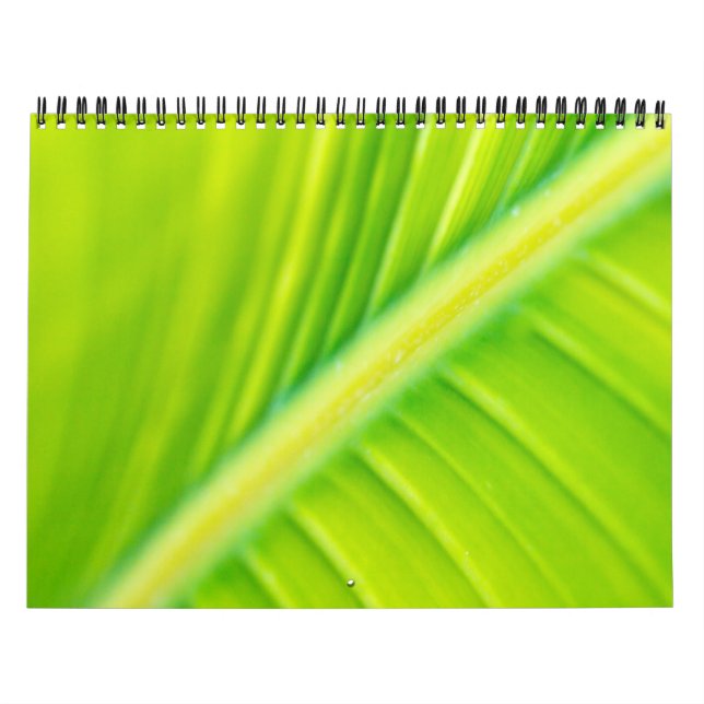 Calendário folha de bananas verde (Capa)