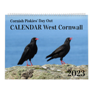 Calendário Fora do Dia de Cornwall Fotografia de Cornish Pisk