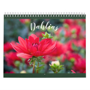 Calendário Foto Colorida Dahlia 2021 Flor