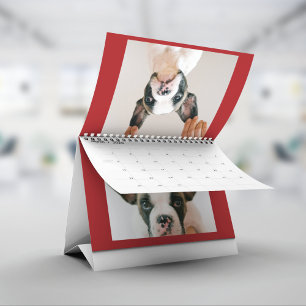 Calendário Foto de animal de estimação vermelha personalizada