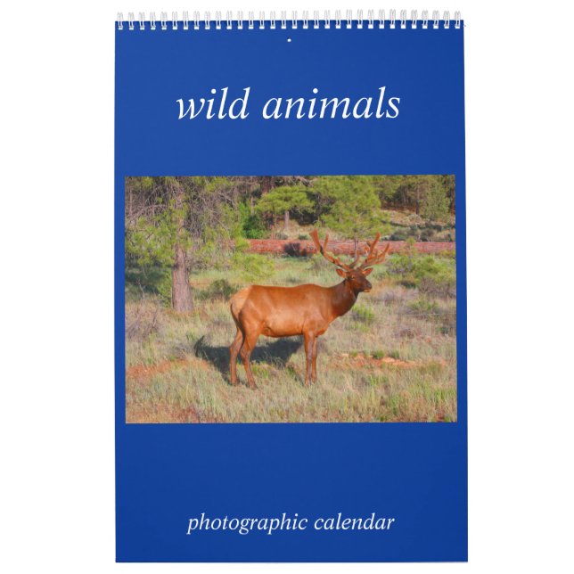 Calendário foto de animal selvagem (Capa)