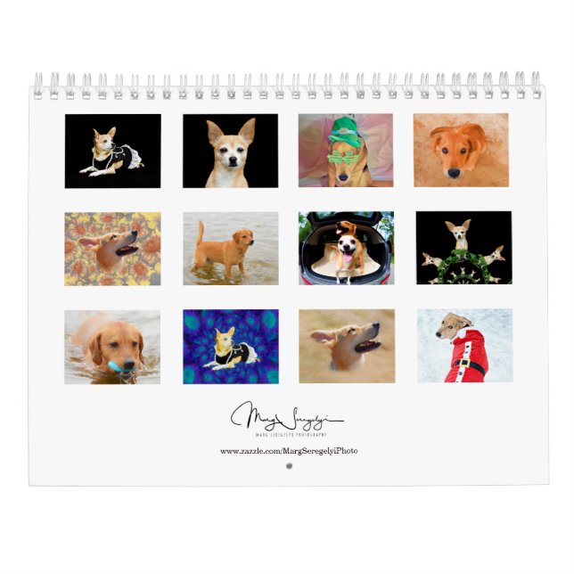 Calendário Foto de Design de 2024 em Cães Bons (Verso)
