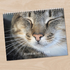 Calendário Foto de Estimação de Gatinhos e Gatos Fofos