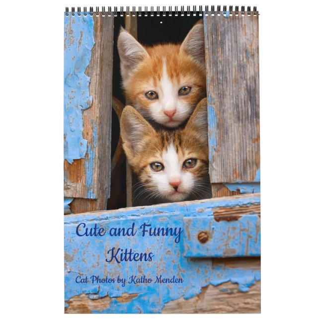 Calendário Foto de gato bonito e engraçado (Capa)
