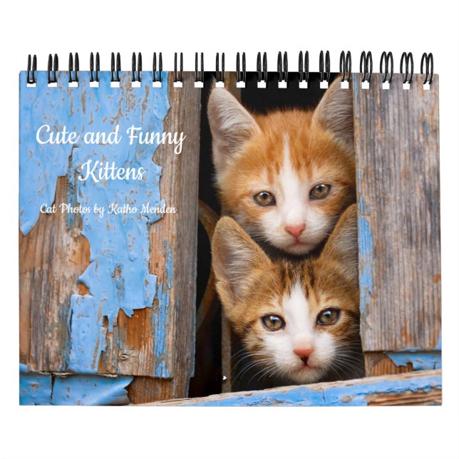 Calendário Foto de Gato de Gatinhos Bonitos e Engraçados. (Capa)