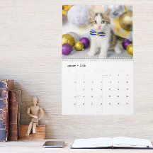 Foto de Gato Fofo É a Vida de um Gato 2026 