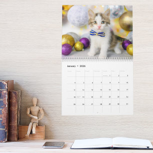 Calendário Foto de Gato Fofo É a Vida de um Gato 2027