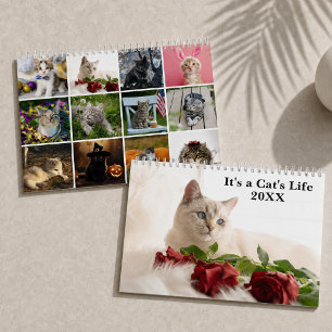 Calendário Foto de Gato Fofo É a Vida de um Gato 2027 