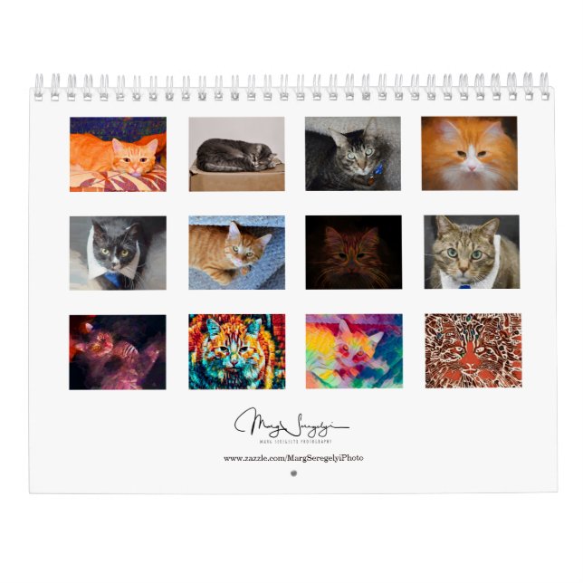 Calendário Foto de Gatos Frescos Design 2023 Mensal (Verso)