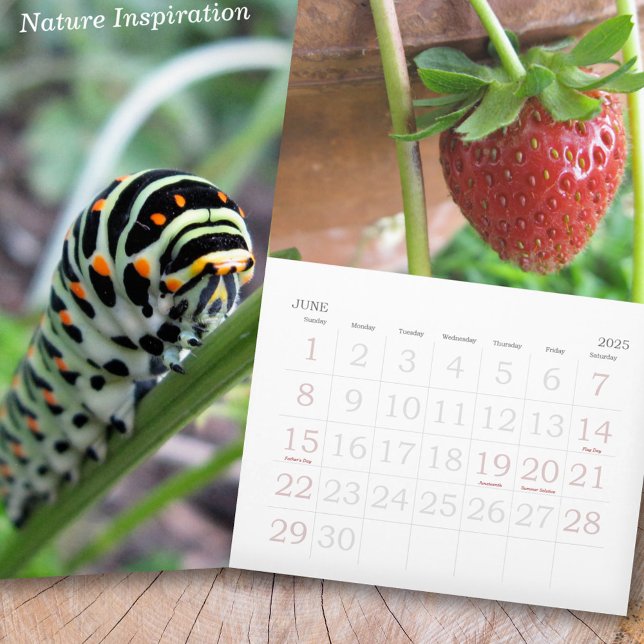 Calendário Foto de Inspiração Natureza (Nature Inspiration Photo Calendar)