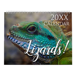 Calendário Foto de Lagarto Natureza 2027 Parede