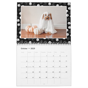 Calendário Foto de Pet de Quadro de Impressão da Pata de Cor