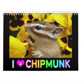 Calendário Foto do Chipmunk (3)
