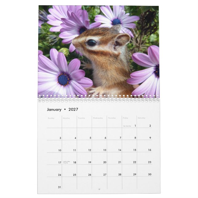 Calendário Foto do Chipmunk (3) (Jan 2027)