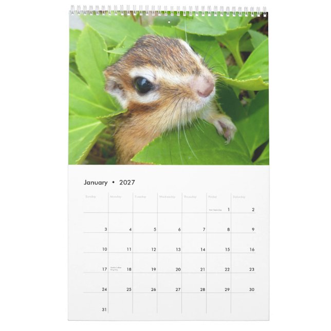 Calendário Foto do Chipmunk (4) (Jan 2027)