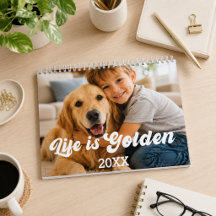 foto do Golden Retriever A vida é Dourada 2027