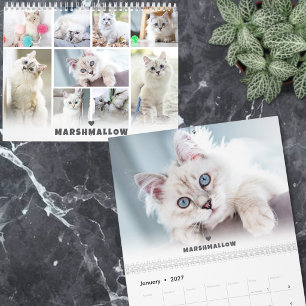 Calendário Foto Personalizada de Gato de Estimação Fofo