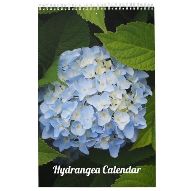 Calendário Foto personalizável de Hydrangea (Capa)