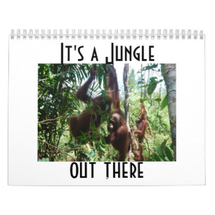 Calendário Fotografia animal de Orangutan