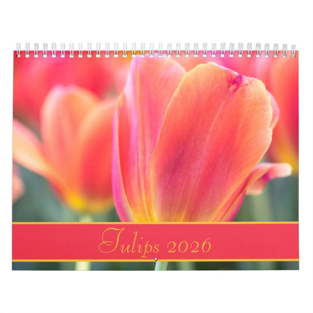 Calendário Fotografia Colorida das Tulipas 2021 (Capa)