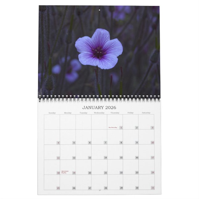 Calendário Fotografia das belas artes - 2013 (Jan 2026)