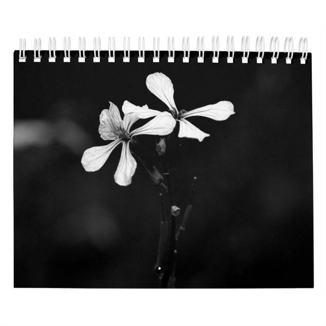 Calendário Fotografia das flores pretas e brancas (Capa)