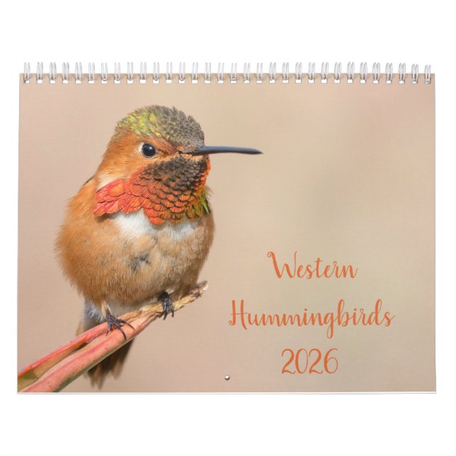 Calendário Fotografia de 2021 Western Hummingbird (Capa)