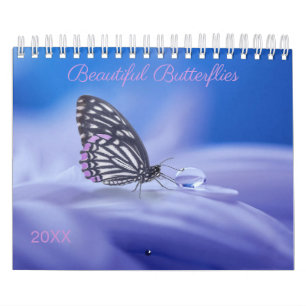 Calendário Fotografia de borboletas lindas