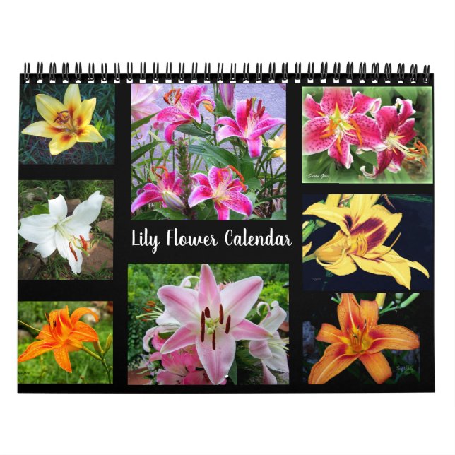 Calendário Fotografia de Flor de Lírio (Capa)