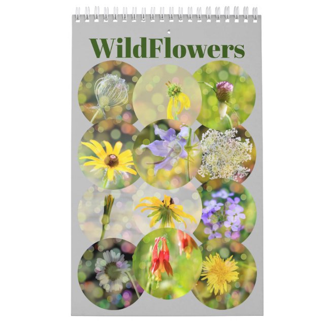 Calendário Fotografia de Flores Selvagens (Capa)