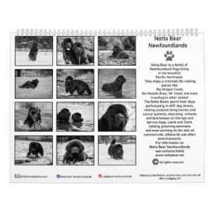 Calendário Fotografia de newfoundland preto e branco