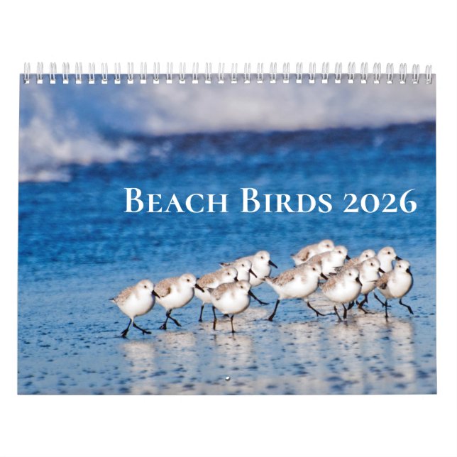 Calendário Fotografia de Pássaros de Praia (Capa)