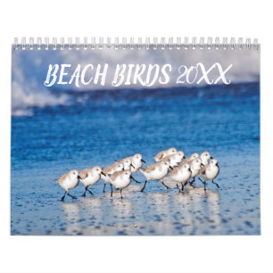 Calendário Fotografia de Pássaros de Praia
