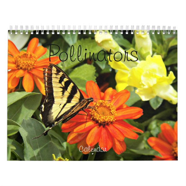 Calendário Fotografia de Pollinators Nature (Capa)