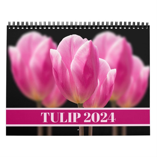 Calendário Fotografia de Tulipas e Flores Rosa (Capa)
