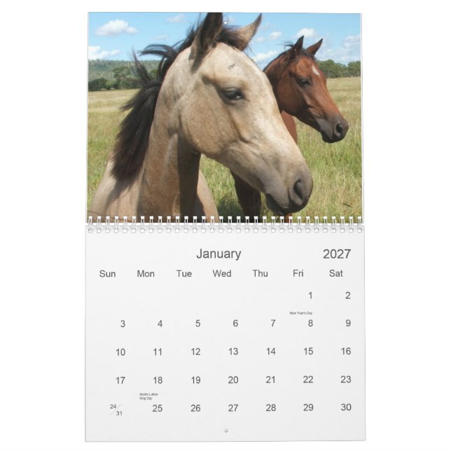 Calendário Fotografia dos cavalos (Jan 2027)
