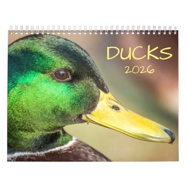 Calendário Fotografia dos Patos de 2021 (Capa)