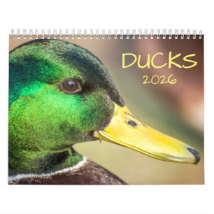 Calendário Fotografia Duck 2025