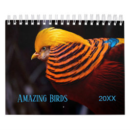 Calendário Fotografia incrível de AVES
