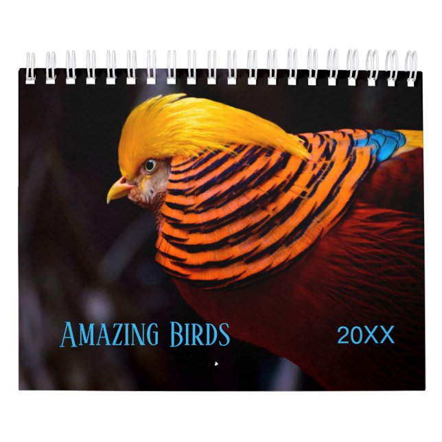 Calendário Fotografia incrível de AVES (Capa)